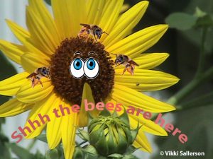 Shhh the bees are here